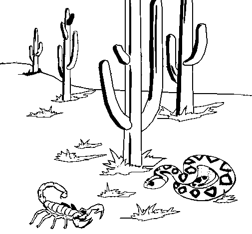 Dibuix de Desert  per Pintar on-line