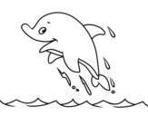 Dibuix de Dofí simpàtic per pintar