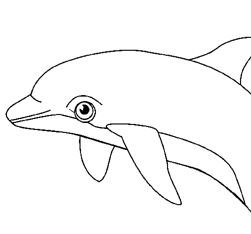Dibuix de Dofí per Pintar on-line