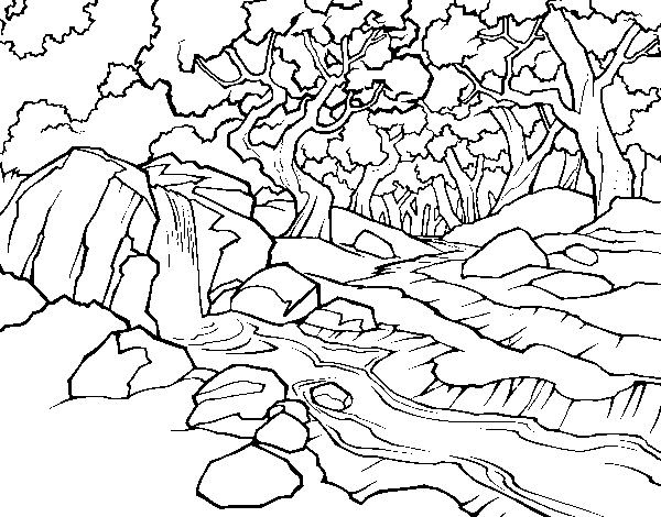 Dibuix de Paisatge de bosc amb un riu per Pintar on-line