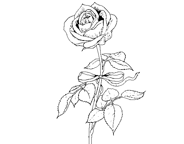 Dibuix de Una rosa per Pintar on-line