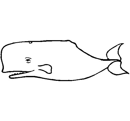 Dibuix de Balena blava per Pintar on-line