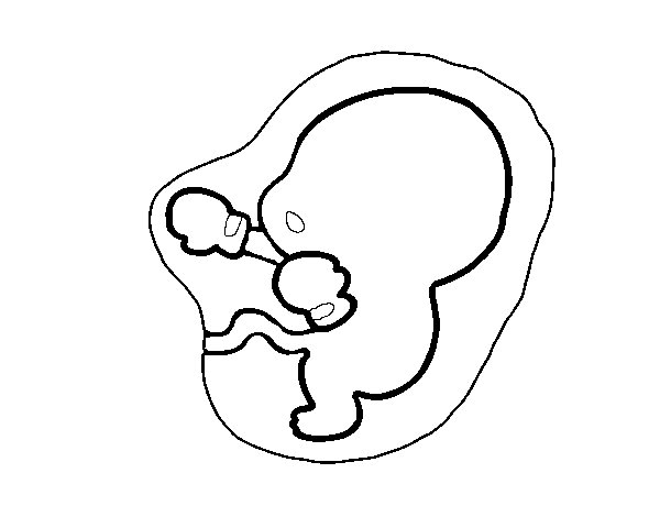 Dibuix de Fetus per Pintar on-line