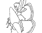 Dibujo de Follet i papallona