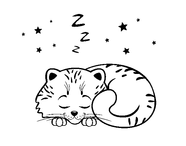 Dibuix de Gatet dormint per Pintar on-line