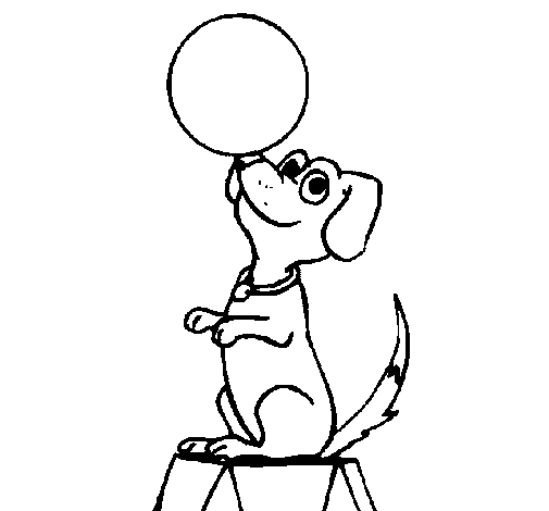 Dibuix de Gos de circ per Pintar on-line