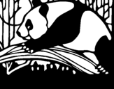 Dibuix de Ós panda menjant per pintar