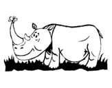 Dibuix de Rinoceront i Papallona per pintar