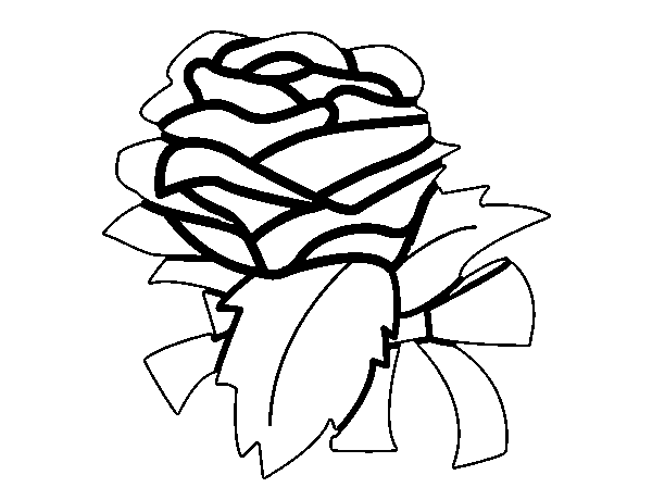 Dibuix de Rosa, flor per Pintar on-line