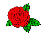 201207/rosa-2-dibuixos-dels-usuaris-pintat-per-beatrice-531376_163.jpg